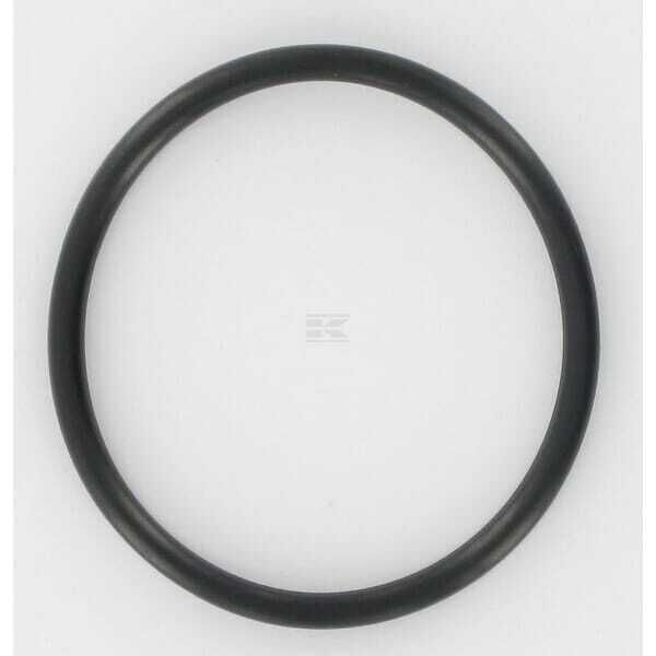 O-ring - 690589 - Briggs & Stratton