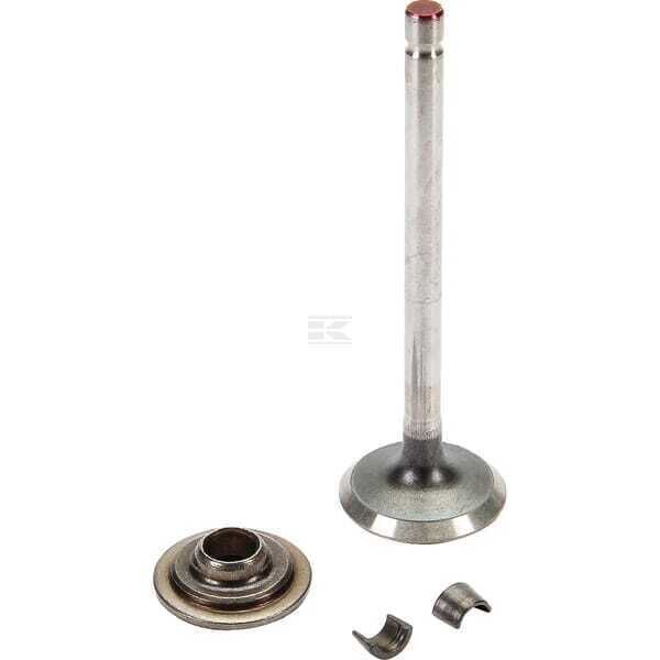 Exhaust valve - 697576 - Briggs & Stratton