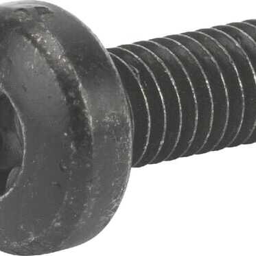 Castelgarden Bolte OE - 1127278070 - Bolt TCB torx M6x16