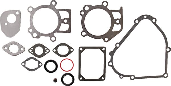 Briggs & Stratton Pakningssæt - 695438 - Gasket Set-Engine