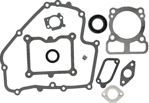 Briggs & Stratton Pakningssæt - 793623 - Carburetor