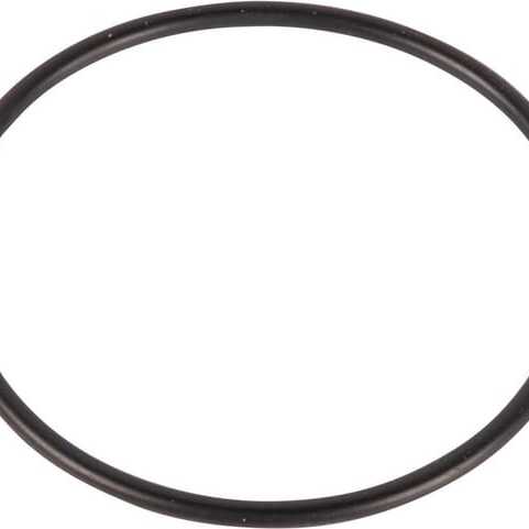 John Deere O-ringe - H35244 - O-ring