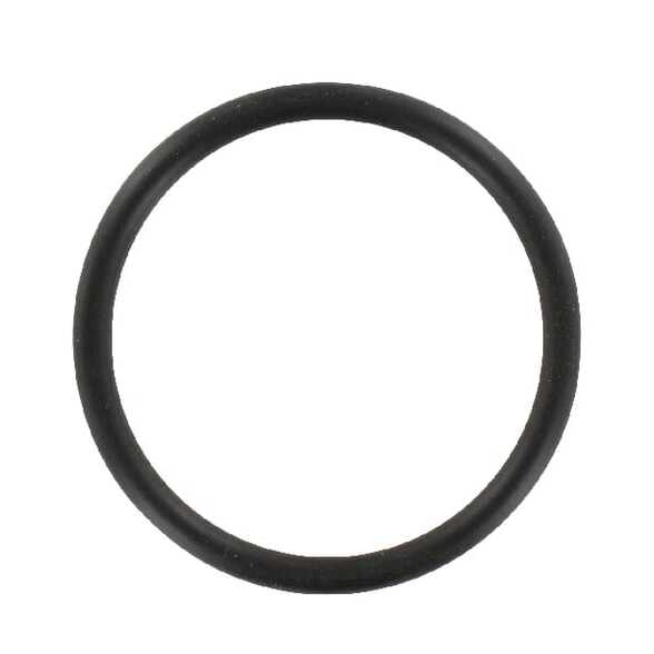 John Deere O-ringe - L169999 - O-ring