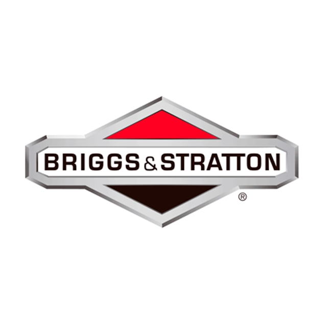 Bague - 231349 - Briggs & Stratton